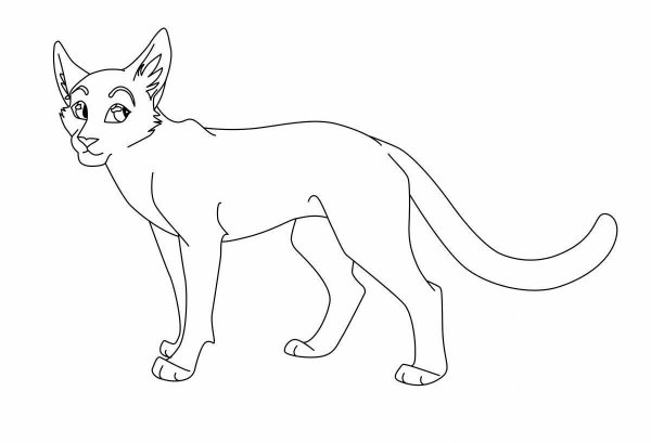 Коты Воители раскраска раскраска