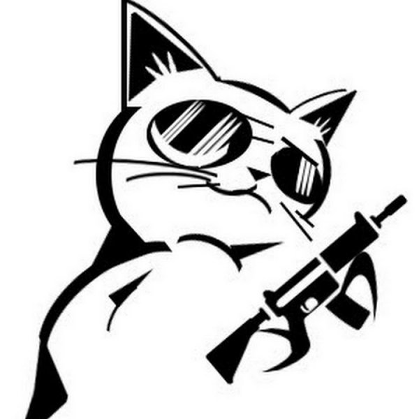 Котик с пистолетом
