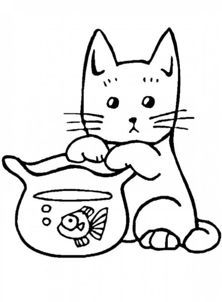 Раскраска кот