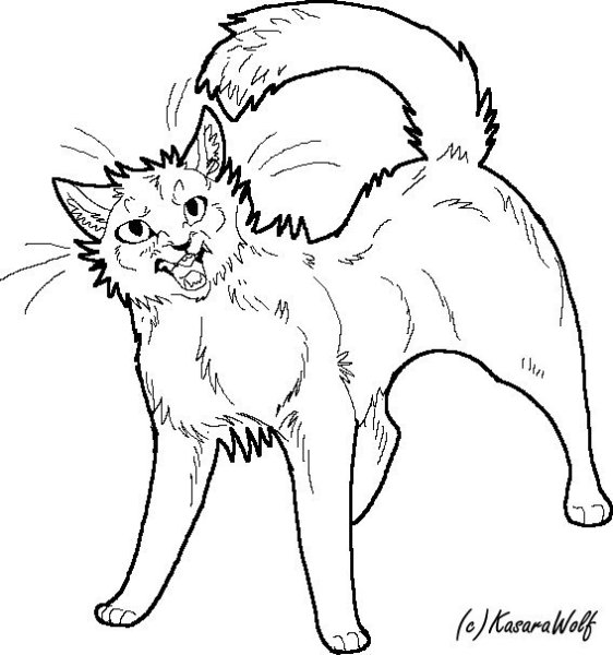 Раскраска злая кошка