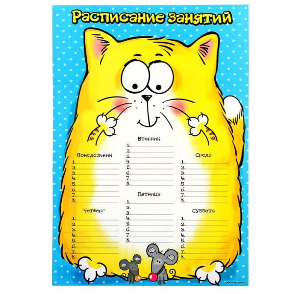 Расписание уроков с котами