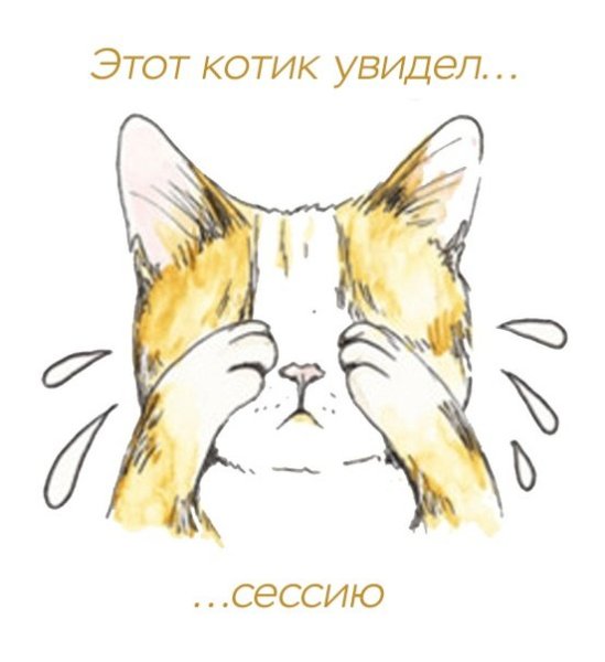 Рисунок к фразеологизму кот наплакал