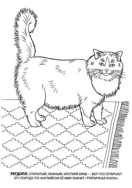 Кошки. Раскраска