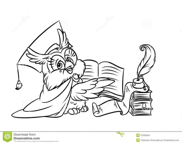 Раскраска Сова с книгой для детей