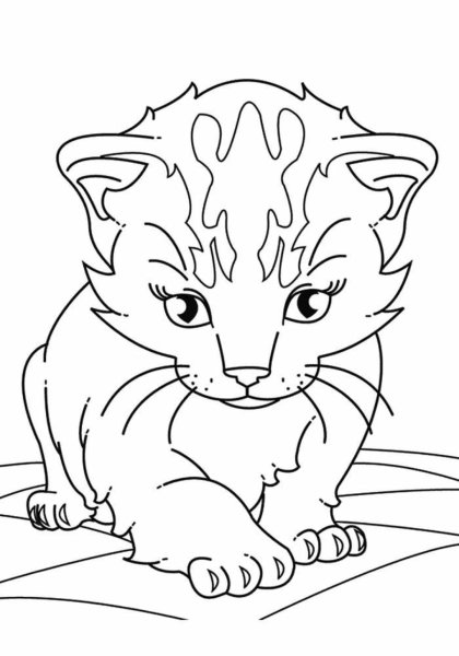 Раскраска. Котики