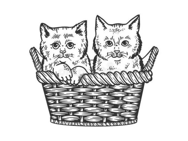 Раскраска кот в корзинке