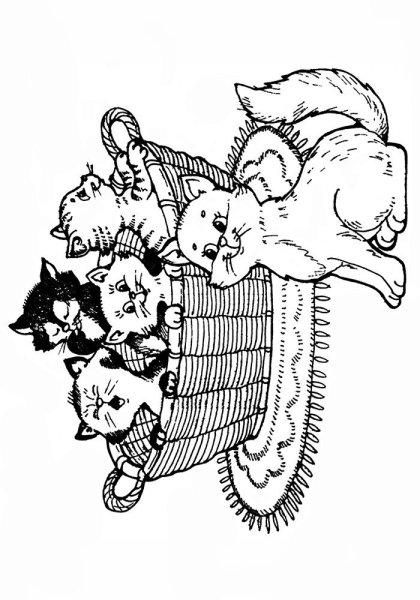 Раскраска кот в корзинке