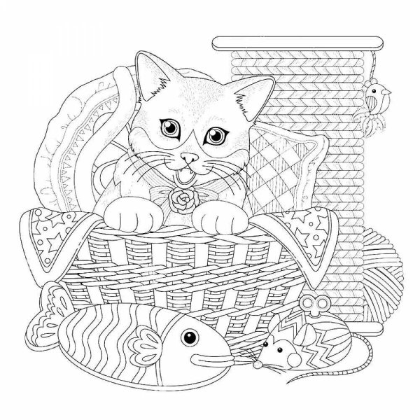 Раскраски Котик в корзинке (38 шт.) - скачать или распечатать бесплатно #