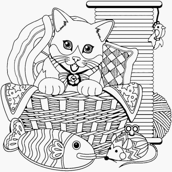 Раскраски кот в корзинке (41 фото)
