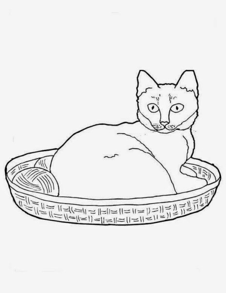 Раскраска котики в корзинке