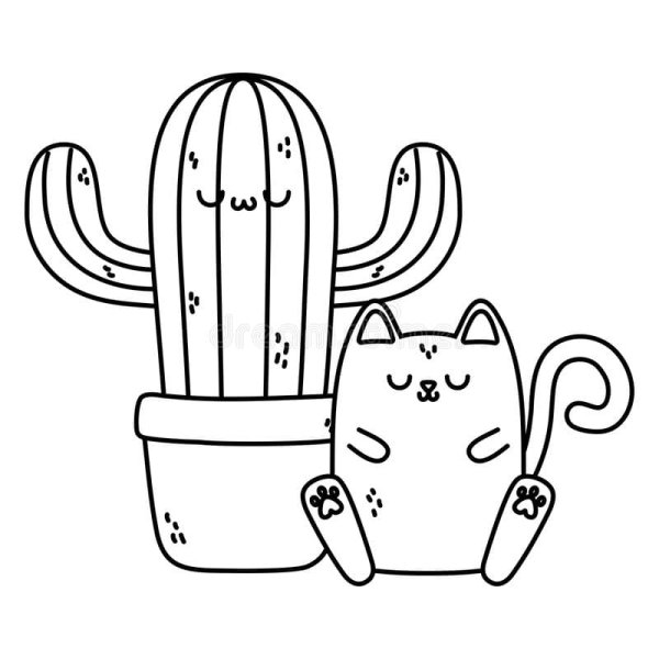 Раскраска Кактус кошка