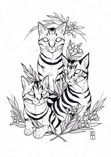 Бенгальская кошка эскиз