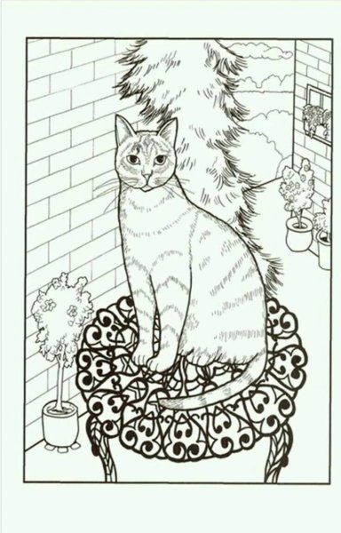 Кошка на окне раскраска