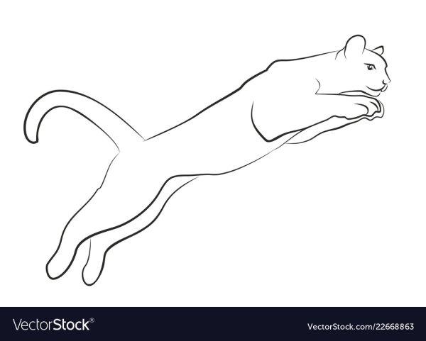 Кошка в прыжке эскиз
