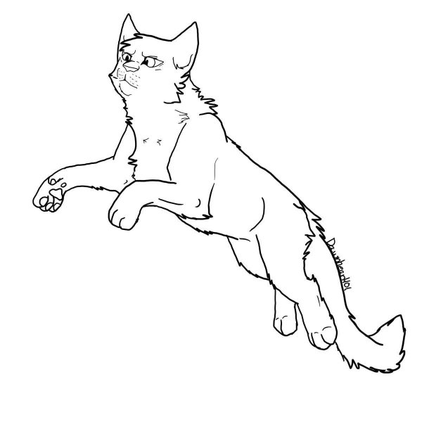 Коты Воители лайн прыжок