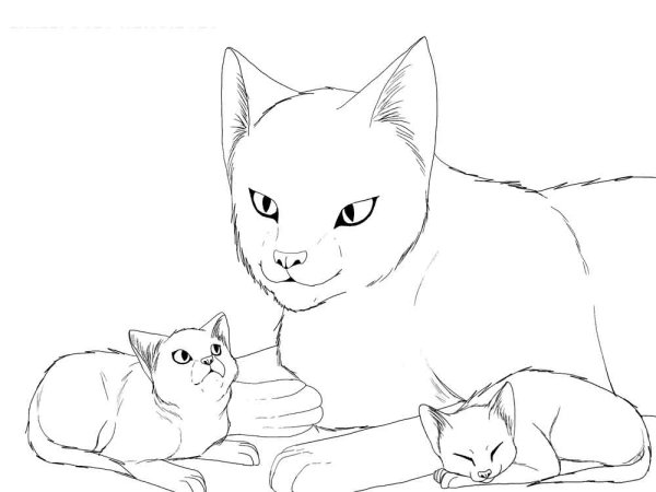 Раскраска кошка с котятами