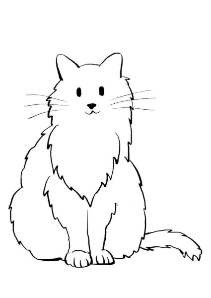 Очертание кота