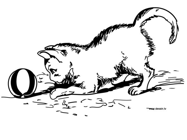 Раскраска кошка с мячиком