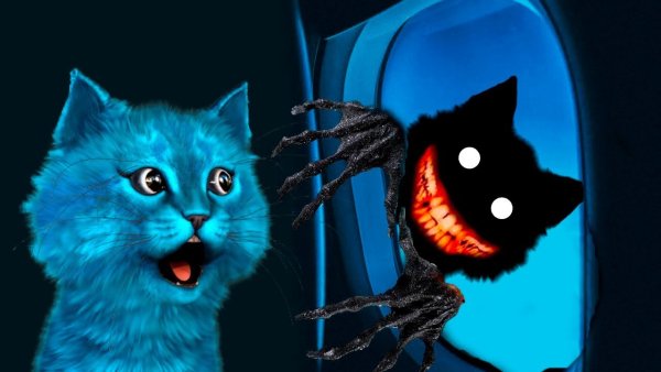 Синий кот страшный