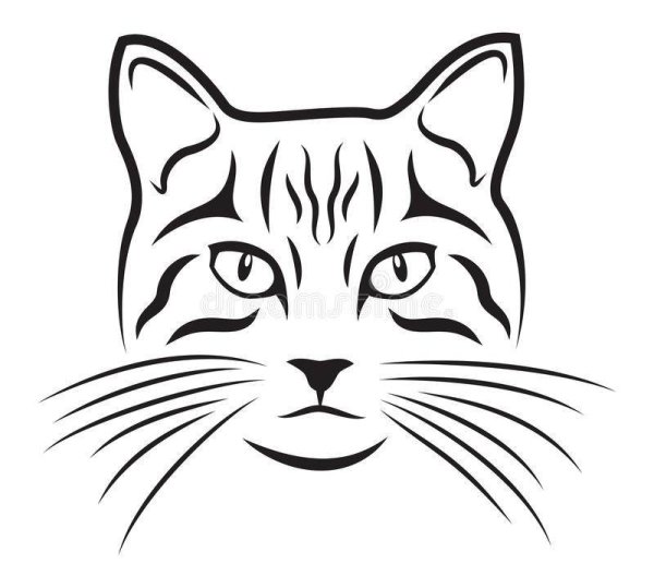 Очертание морды кота