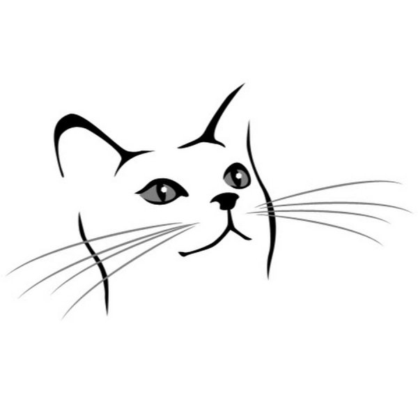 Набросок морды кота