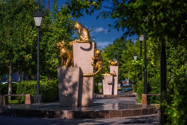 Сквер сибирских кошек Тюмень