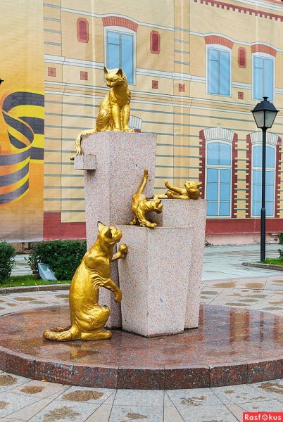 Сквер сибирских кошек Тюмень