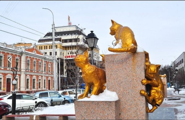 Памятник котам в Тюмени
