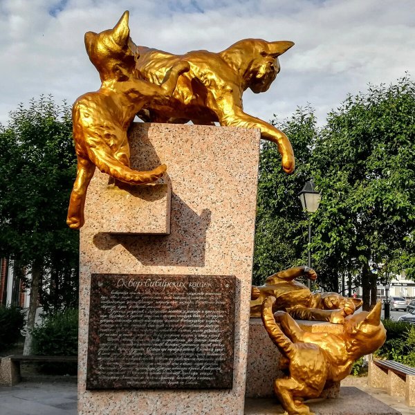 Сквер сибирских кошек Тюмень