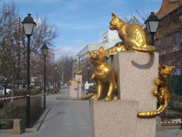 Сквер сибирских кошек Тюмень