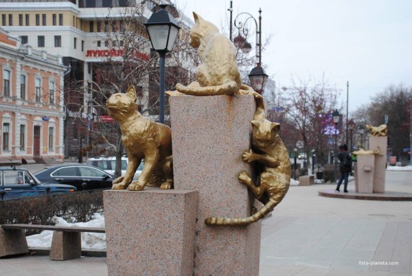 Сквер сибирских кошек Тюмень