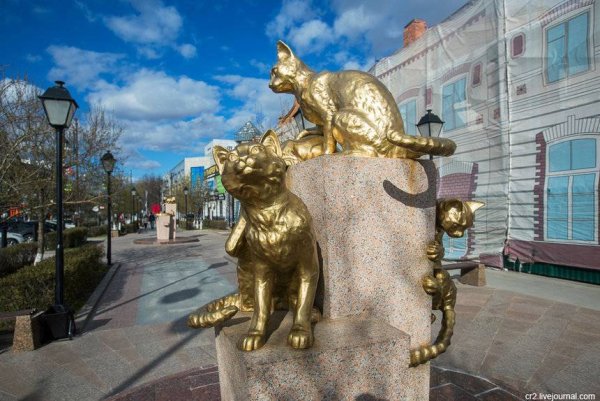 Сквер сибирских кошек Тюмень
