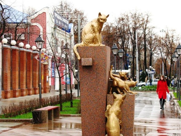 Сквер сибирских кошек Тюмень