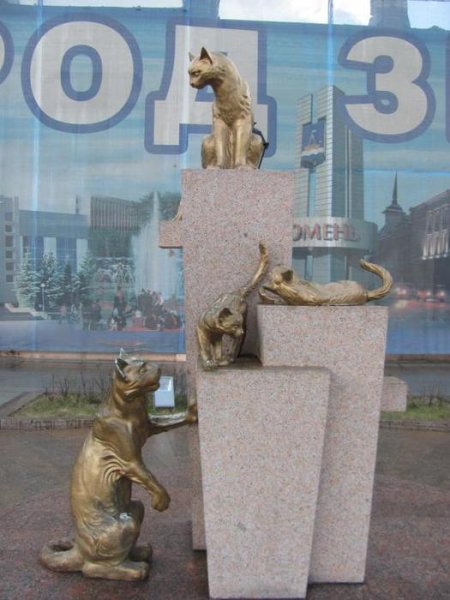 Сквер сибирских кошек Тюмень рисунок