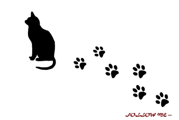 Следы кошки для детей