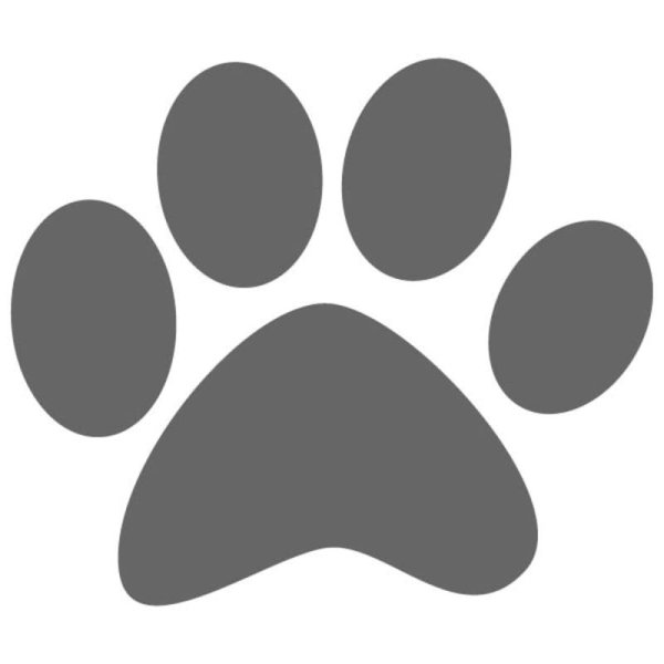 Лапки кошки