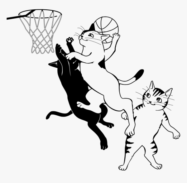 Раскраска котик с мячиком