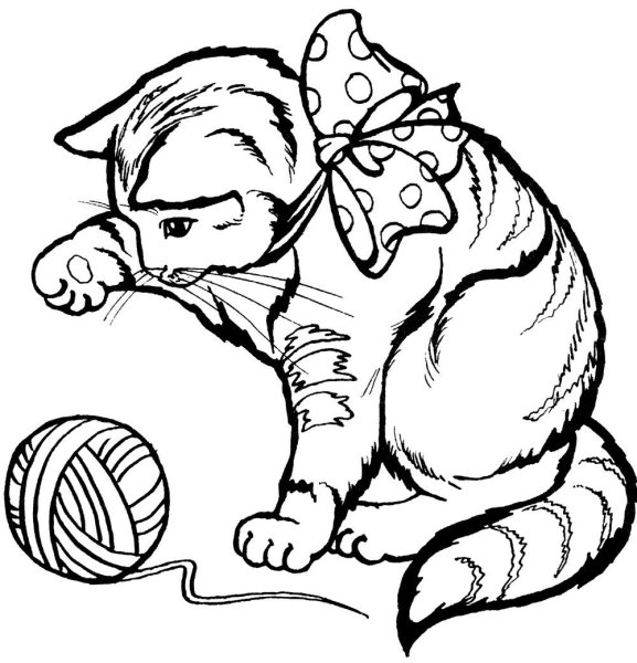 Раскраска котик с клубком