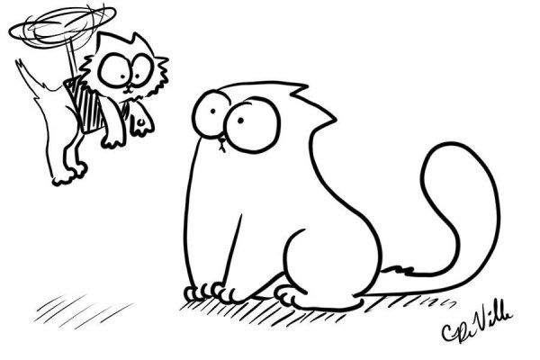 Кот Саймон