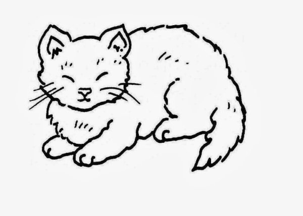 Спящий кот раскраска