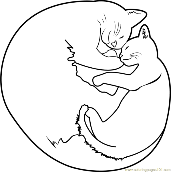 Спящий кот раскраска