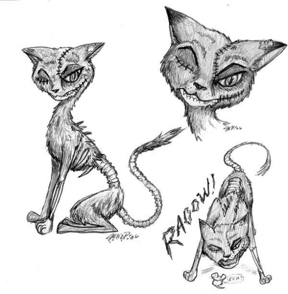 Рисунки для срисовки страшные коты