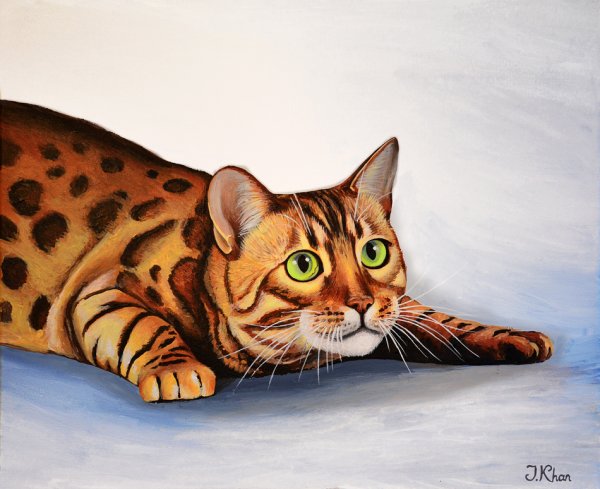 Бенгальская кошка