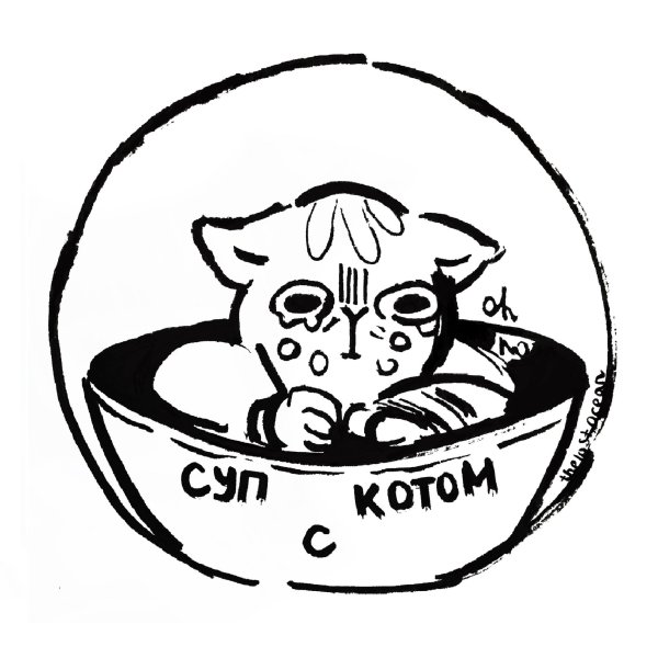 Суп с котом