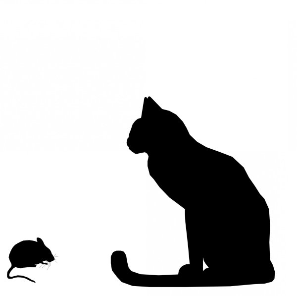 Силуэт кота