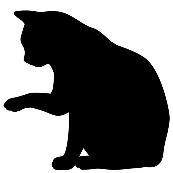 Тень кошки