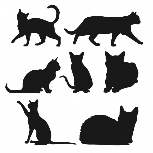 Силуэт кота