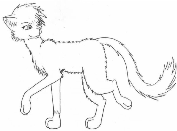 Раскраска коты Воители Бич