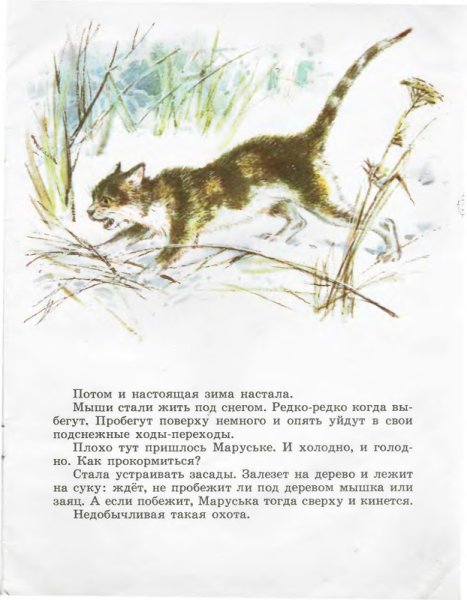 Чарушин кошка Маруська