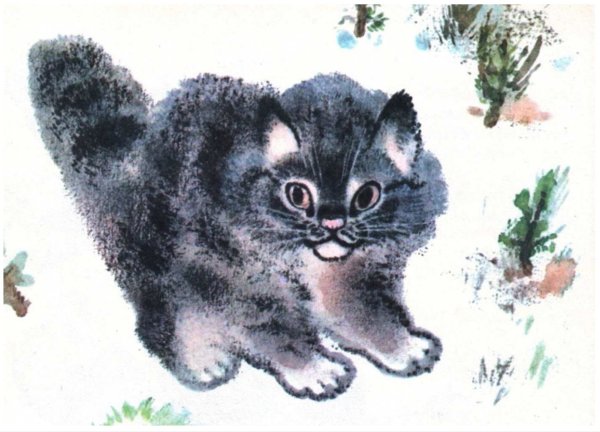 Евгений Чарушин кошка Маруська